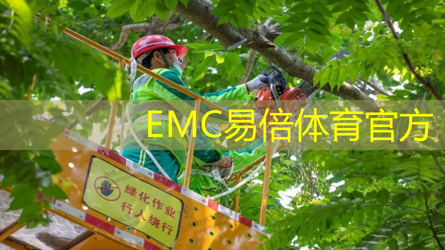 园林管理机制不善导致绿化严重遭受破坏