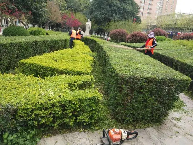 市政道路绿化工程资质办理