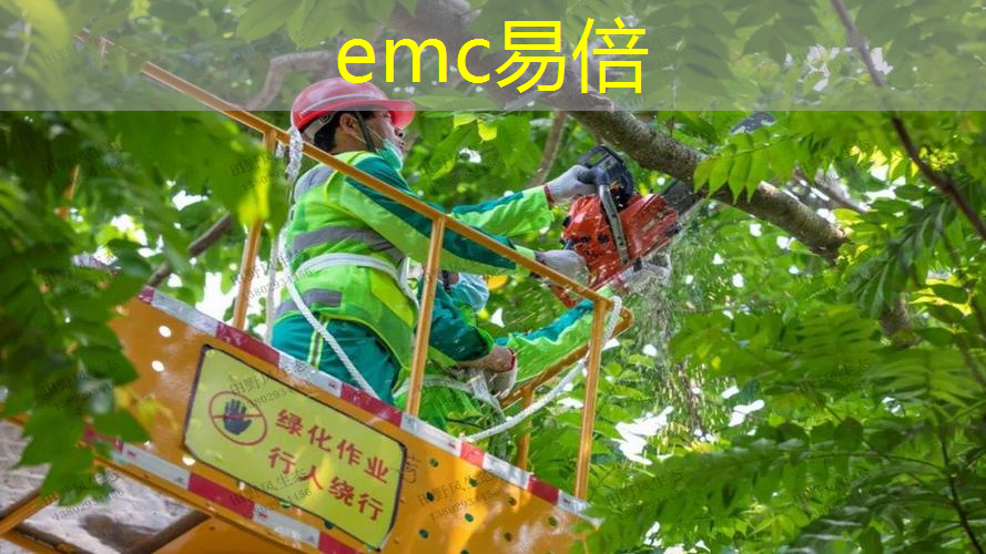 乐山市政绿化工程招标资质要求